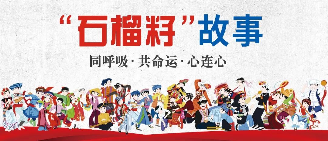 石榴籽故事人民至上立宗旨民族团结树丰碑