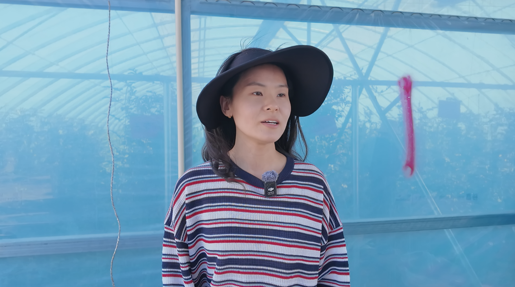 微信图片_2026-06-03_155936_612.png