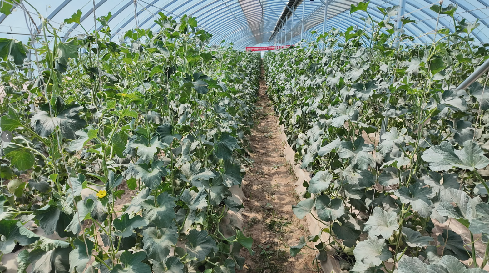 微信图片_2026-06-03_155950_228.png