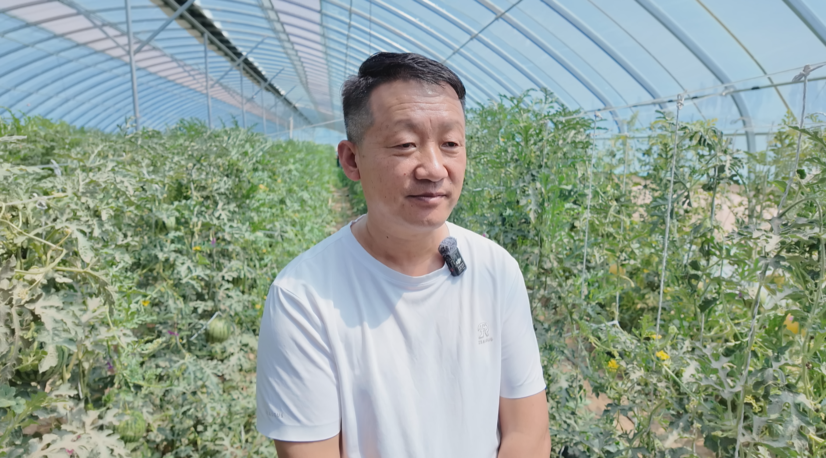微信图片_2026-06-03_160007_197.png