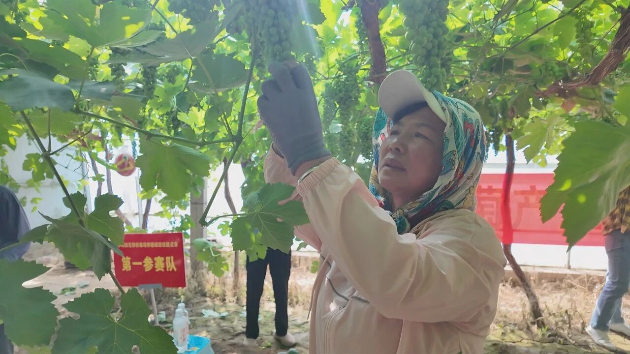 微信图片_2026-06-12_105729_336.jpg