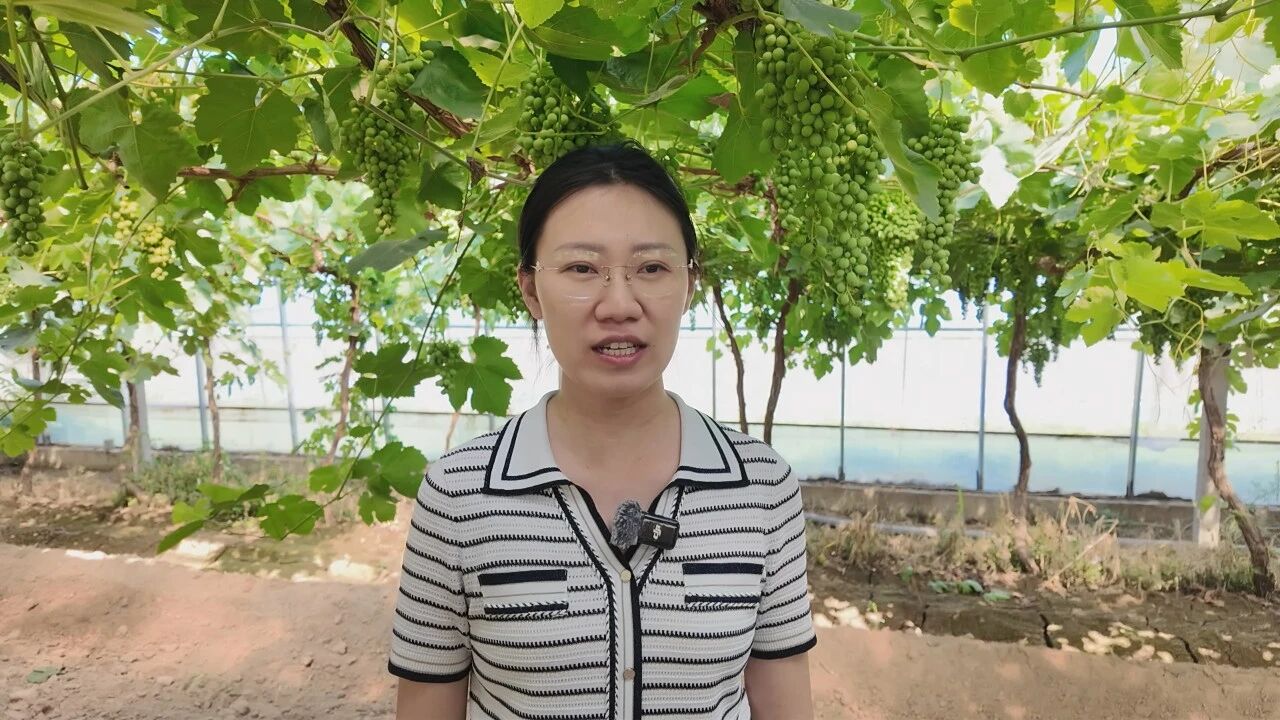 微信图片_2026-06-12_105739_156.jpg